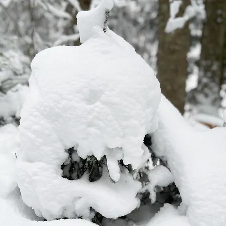 ホテル Heutaler Hof - Im Naturidyll ウンケン