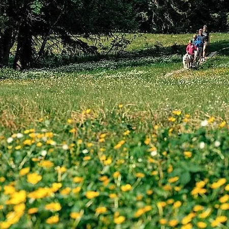 מלון Heutaler Hof - Im Naturidyll 3*