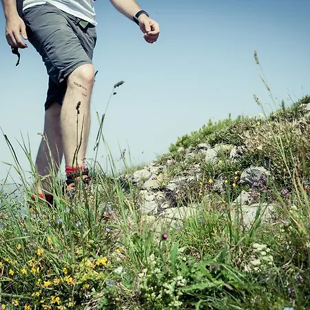 Heutaler Hof - Im Naturidyll ホテル