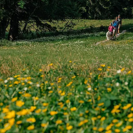 Heutaler Hof - Hotel Im Naturidyll 3* Unken
