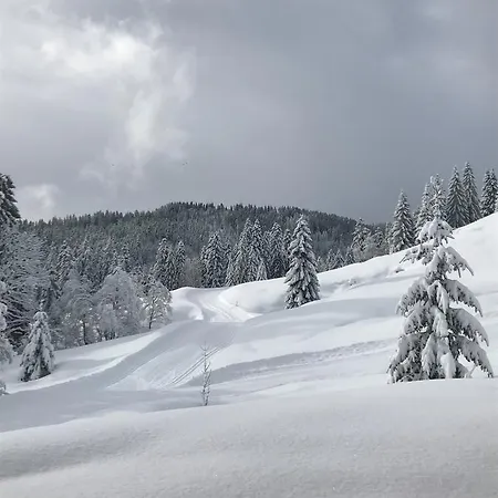 Heutaler Hof - Im Naturidyll ホテル ウンケン