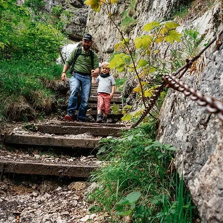 Heutaler Hof - Im Naturidyll ホテル ウンケン