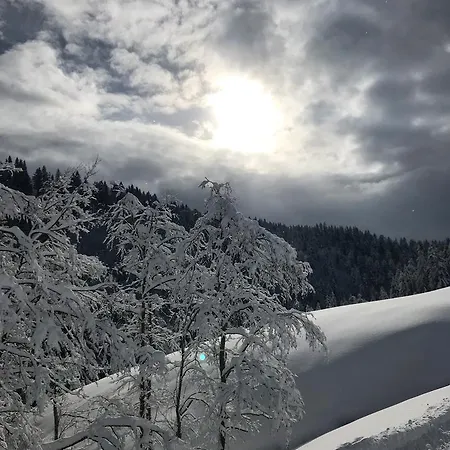 Heutaler Hof - Im Naturidyll Unken