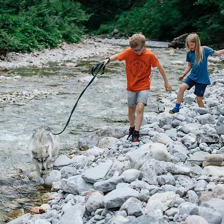 Heutaler Hof - Im Naturidyll ホテル 3*