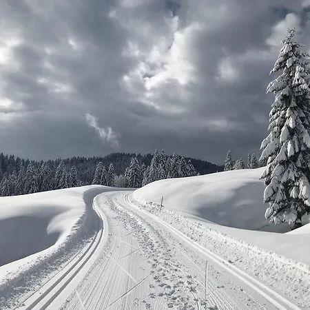 Heutaler Hof - Im Naturidyll Отель