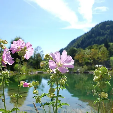 Heutaler Hof - Im Naturidyll Ункен
