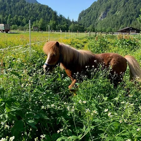 Heutaler Hof - Hotel Im Naturidyll 3* Unken